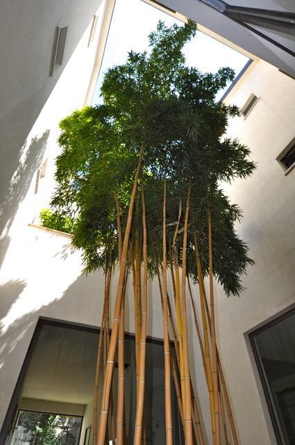 La Dimora Residence Milão Exterior foto